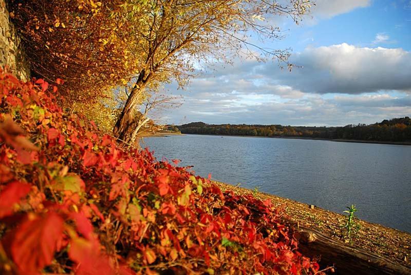 Maison Bord De Lac De Charmes Bannes  Bagian luar foto